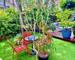 Appartement + Terrasse Jardin + Lumineux + Calme  - 2be05d21-acaa-49ea-b017-1a6cc9fbbafd
