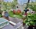 Appartement + Terrasse Jardin + Lumineux + Calme  - 39561f69-f56b-4773-8bee-46d2b76eb841