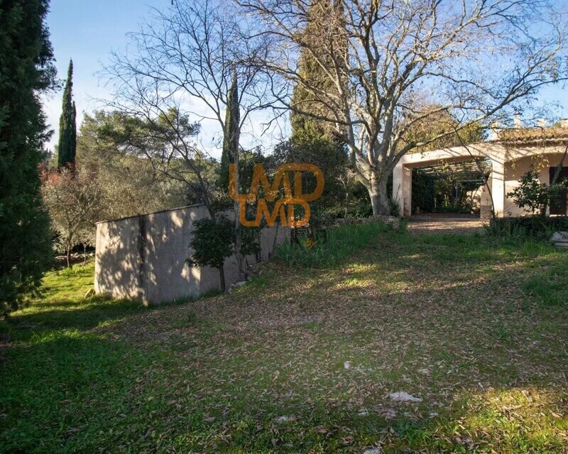 Mazet à Nîmes - Quartier prisé et paisible - d5e1ec6b-1dff-433e-9bb6-cea855436c17