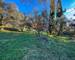 Mazet à Nîmes - Quartier prisé et paisible - f633b8b7-981c-4cec-b0e4-0165cd709588