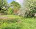 Ancien Moulin à Eau avec Habitation et Dépendances - 42704d0b-2d4b-4213-bd32-4d70b7ea15de