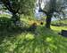 Maison 5 Chambres Aubin Firmi Aveyron Region Occitanie - 6c832d51-664b-4651-a865-5344e35197f7