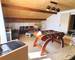 Coup DE Coeur À Bras - Maison T5 - 156M2 total - Piscine - bb361ef1-375c-4e49-9936-114ab9b1500d