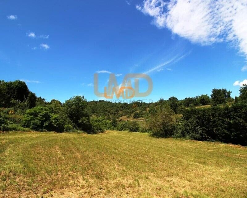 A Vendre Joli Terrain Constructible de 10678m² - b709f976-2ad6-4f45-9dde-79c830a102ae