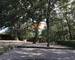  Maison avec piscine sur un terrain de 15328 m² Montaut 31410 - 58b9ee19-beaf-480b-8012-8e9790777133