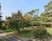  Maison avec piscine sur un terrain de 15328 m² Montaut 31410 - e25be5cb-69ff-4283-b051-f58ec846dbcd
