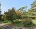  Maison avec piscine sur un terrain de 15328 m² Montaut 31410 - fc5cf51a-ab2d-41c1-a8af-918e37a4410e