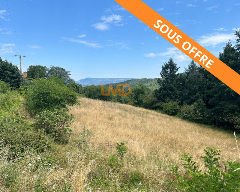 Terrain constructible de 2 536 m² – Mercuer - Terrain Mercuer