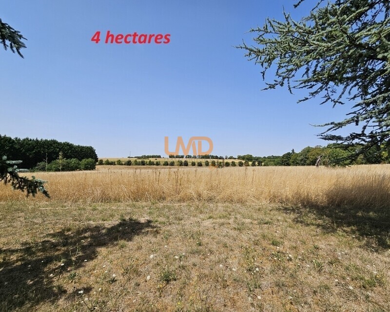 Belle maison sur 4 ha – Cherbonnières (17) - Terrain 4ha