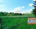 Belle maison sur 4 ha – Cherbonnières (17) - cde63353-5c54-44f0-bf5e-a7fc7607c2f7