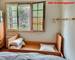 Belle maison sur 4 ha – Cherbonnières (17) - fad98461-1b78-418d-a3ed-894a6b97b670