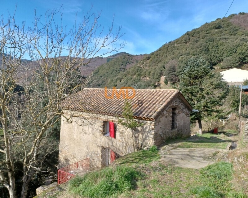 Maison en pierre - Vue panoramique - Terrain - 20250227 102309