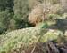 Maison en pierre - Vue panoramique - Terrain - c3386686-d4dd-427e-ad55-9fc98e0a40f9
