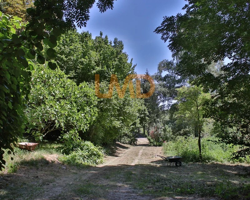 propriété en cévennes - terrain de 3.4 ha - 85757bbd-63a9-433c-a474-afb997a5979c