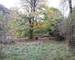 propriété en cévennes - terrain de 3.4 ha - f0fc8c7e-1af2-497c-8ad6-e3289be03431