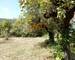 Maison EN Pierre Avec 2 Appartements - Garage - Grand Terrain - dee3fbef-6803-4432-968e-e568a3cb4286