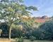 Spacieuse Villa Familiale 156 m² – Plain-Pied – 4 Chambres  - 19ce7f16-ab98-4488-8b68-c67efc3a71bf