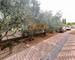 Spacieuse Villa Familiale 156 m² – Plain-Pied – 4 Chambres  - e629ceee-5035-4d3e-995b-d86c38e5176c
