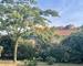 Spacieuse Villa Familiale 156 m² – Plain-Pied – 4 Chambres  - 7c24368d-751a-4222-9ce2-9799faac92d3