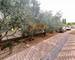 Spacieuse Villa Familiale 156 m² – Plain-Pied – 4 Chambres  - 0f4fbd51-73db-4550-a24f-b02e572763b4