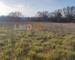 Terrain Agricole et de Loisir - Nature et Espace vert - 8a4f8136-e810-4e78-b9fb-3efce3695159