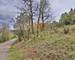 Terrain Constructible - 1520m2 - VUE Degagee - cbf1ea50-3c54-4c23-9ad6-3132a8a35000
