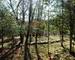 Maison EN Pierre – Mazet – AU CŒUR DE LA Nature – 2,20 HA - 8f887352-aeb9-4a48-b641-0ef20441c478