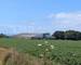 Ancienne Exploitation Porcine ET Terrain Agricole - 1cbfd528-9f48-4ad3-ab44-15df07042895