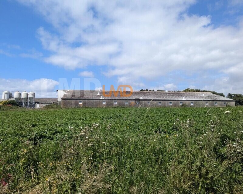 Ancienne Exploitation Porcine ET Terrain Agricole - b5575cff-f38c-4bd2-ad1d-075c2898ea10