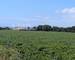 Ancienne Exploitation Porcine ET Terrain Agricole - 6ded741c-f1dd-4158-ac9b-b2df5960dc29