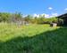 Opportunité Unique : Réveillez le charme d'antan de ce mas provençal ! - 42ac1482-8412-45ad-ac0c-c4cf163a9a97