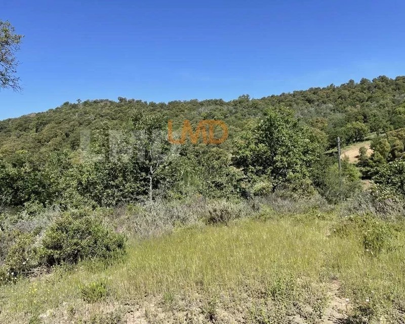 Vidauban - Terrain DE Loisir - 3,5 Hectares - 96ce5e7c-7db0-45c7-8f76-8aa200cbeeb5