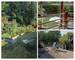 Villa à ossature bois de 160 m², nichée dans un écrin de verdure - 781ffcc2-9c0f-4d4d-8bb6-83d9e2f321e4
