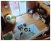 Villa à ossature bois de 160 m², nichée dans un écrin de verdure - 02a358ec-b740-4932-abd6-7336dc3d3be4