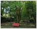Villa à ossature bois de 160 m², nichée dans un écrin de verdure - 003491ef-fd20-45ca-856e-664b30d166f9