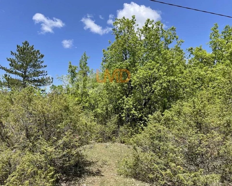 Varages: Terrain BoisÉ 1 Hectare - 988f73b4-a1c7-4496-a9b3-08512548405f