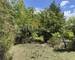 Varages: Terrain BoisÉ 1 Hectare - 4bfd9da5-1ab8-4223-a4f0-674aeeaad105