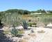 Ardeche Meridionnale Villa DE Plain Pied 115 M2  Terrain 1450 M2 - 31043156-5291-49e4-a40c-f831b92e1f1d