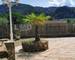 Vals les Bains - Maison de 130 m2 belle piscine, une vue magnifique - c7a99f28-6bc3-411c-9bb3-e10ae977e74d