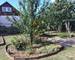Maison charmante à Soultz-Haut-Rhin - 6c9f15bb-4be2-499c-89bd-1df9c1944b47