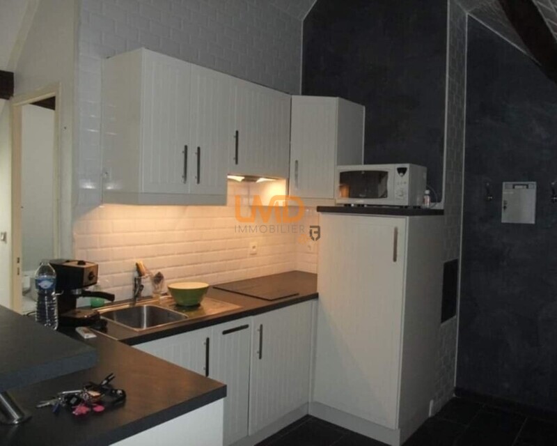 Studio 30 M²  -Saint Cyr Sur  Loire- Vendu loué - 9a9d47df-894e-4f2a-80f7-447c51734de6
