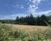 Terrain constructible de 2 162m² – Mercuer - Img 8482