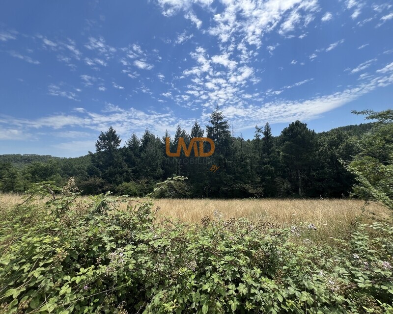 Terrain constructible de 4 698 m² – Mercuer - Img 8483