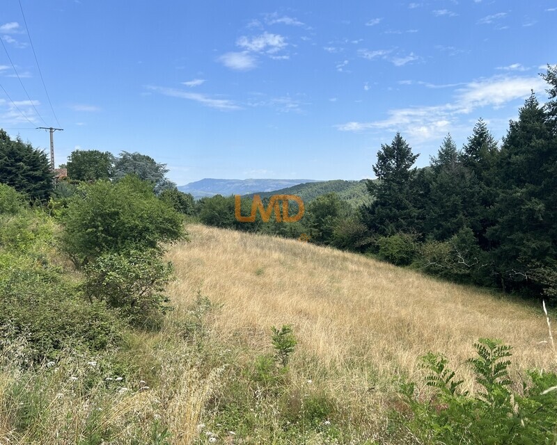 Terrain constructible de 4 698 m² – Mercuer - Img 8486