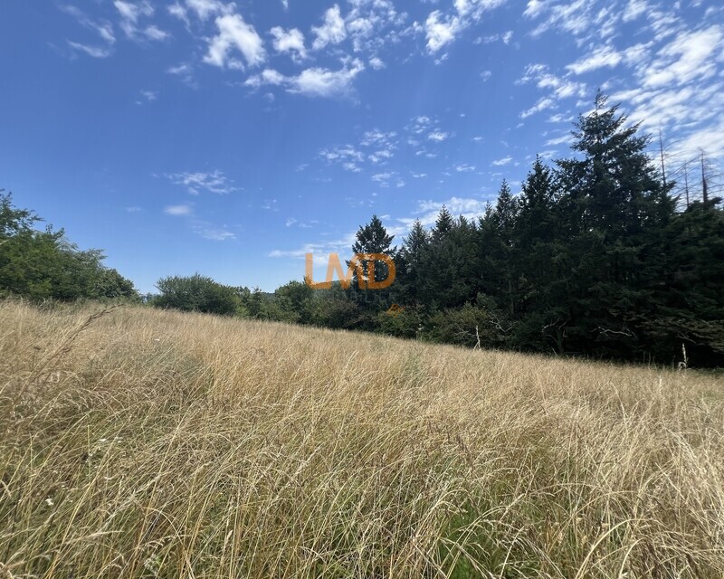 Terrain constructible de 4 698 m² – Mercuer - Img 8485