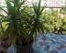 vente appartement T3 prox saint just - marseille 13ème - 1751986003784
