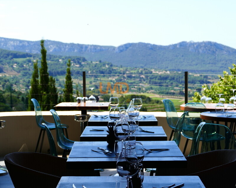 Restaurant emplacament n°1 - Terrasse - Vue panoramique - P1090782