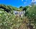traversante, lumineuse, calme, terrasses jardin  - Img 9034