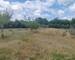 Ferme rénovée 128 m2, plus 1ha de terrain - Download