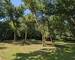 Maison et Bois proche des plages - Pxl 20250801 101216340